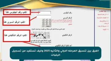 الفرق بين تنسيق المرحلة الأولى والثانية 2025 وكيف تستفيد من تسجيل الرغبات
